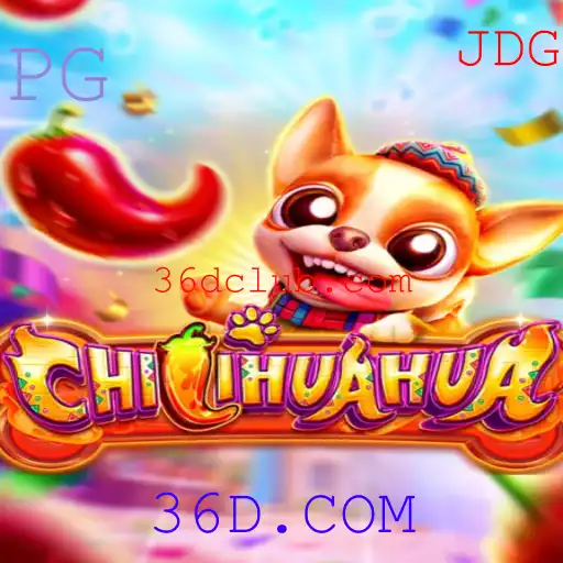 Descubra o Inovador Jogo CHILIHUAHUA: Como Jogar e Regras Essenciais